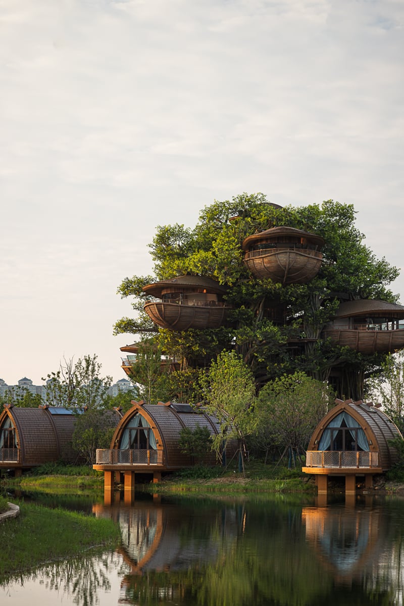 国际认可！武汉城建开元森泊度假乐园斩获2025伦敦设计奖铂金奖